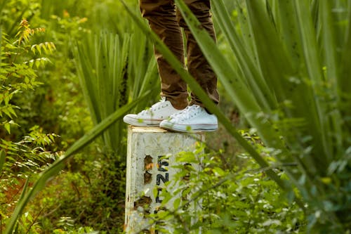 Free A Person Wearing White Converse Shoes Stock Photo