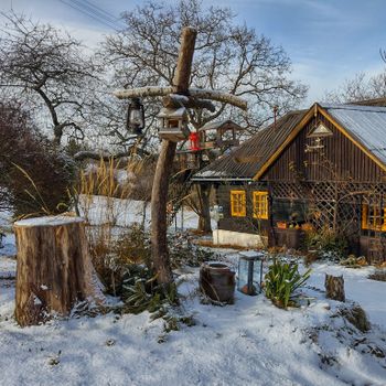 Gardening during the winter