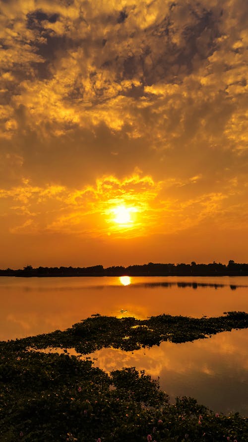 View of a Beautiful Sunset From the Lake Short