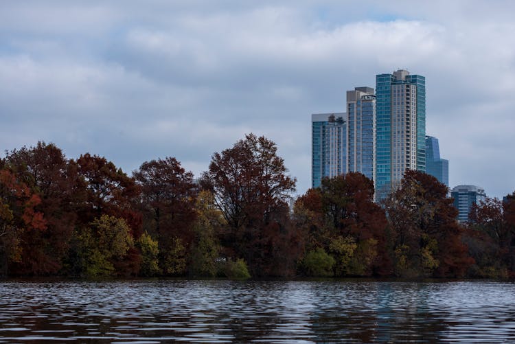 Lake In A Park With City Buildings In Background