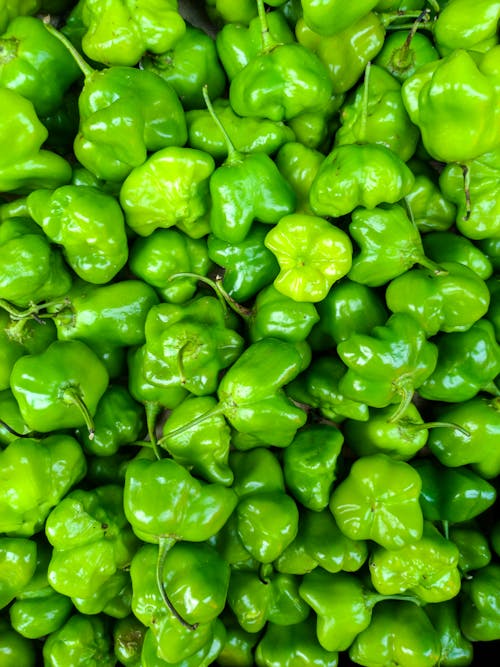 Green Habanero Peppers in Close-up Photography