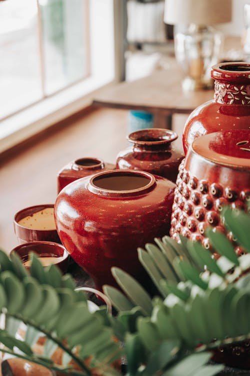 Red Ceramic Jar With Green Cactus Plant