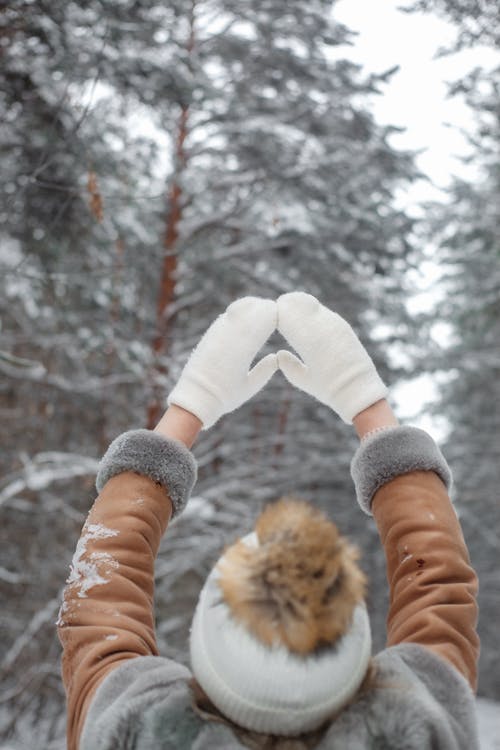 Fotobanka s bezplatnými fotkami na tému bunda, chladný, klobúk