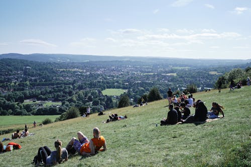 People Relaxing on Slope overlooking Forest in Summer