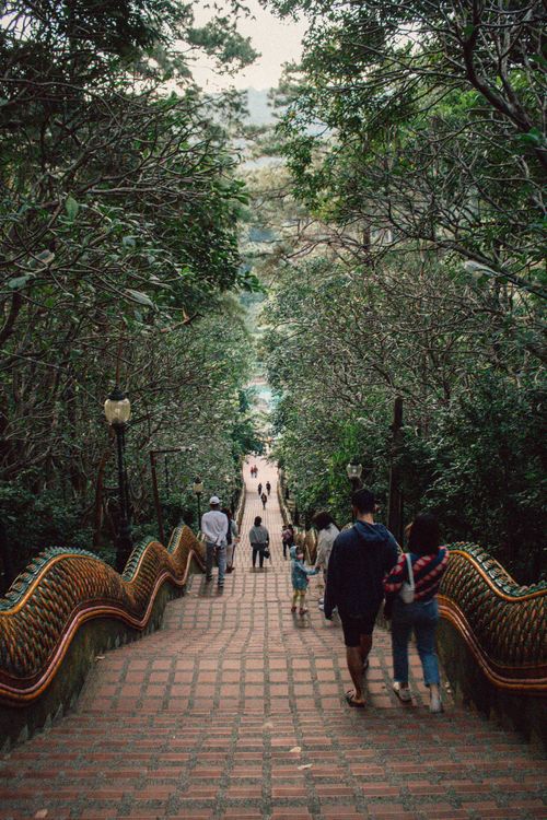 Gratis Immagine gratuita di alberi, architettura, Architettura asiatica Foto a disposizione