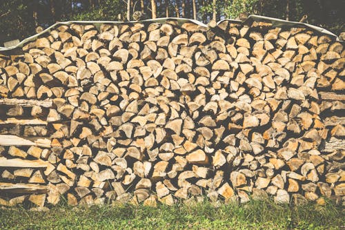 Free stock photo of firewoods, logs, wood