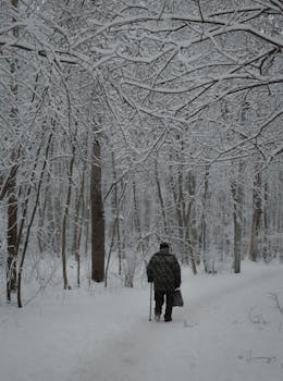 Person walking through a snowy forest in Moscow, Russia, during winter.