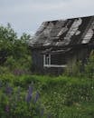 Brown Wooden House Near Green Trees Under White Sky