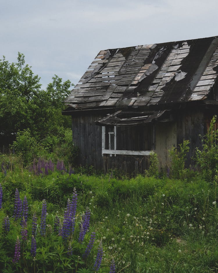 Broken Roof Of An Abandoned House