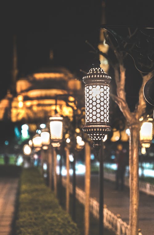 Фотография светильников с выровненными столбами в ночное время