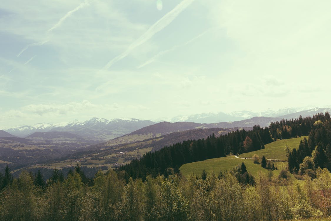 Green Trees on Mountain Under White Clouds