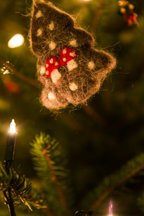 Бесплатное стоковое фото с декорация, максросъемка, рождественская елка
