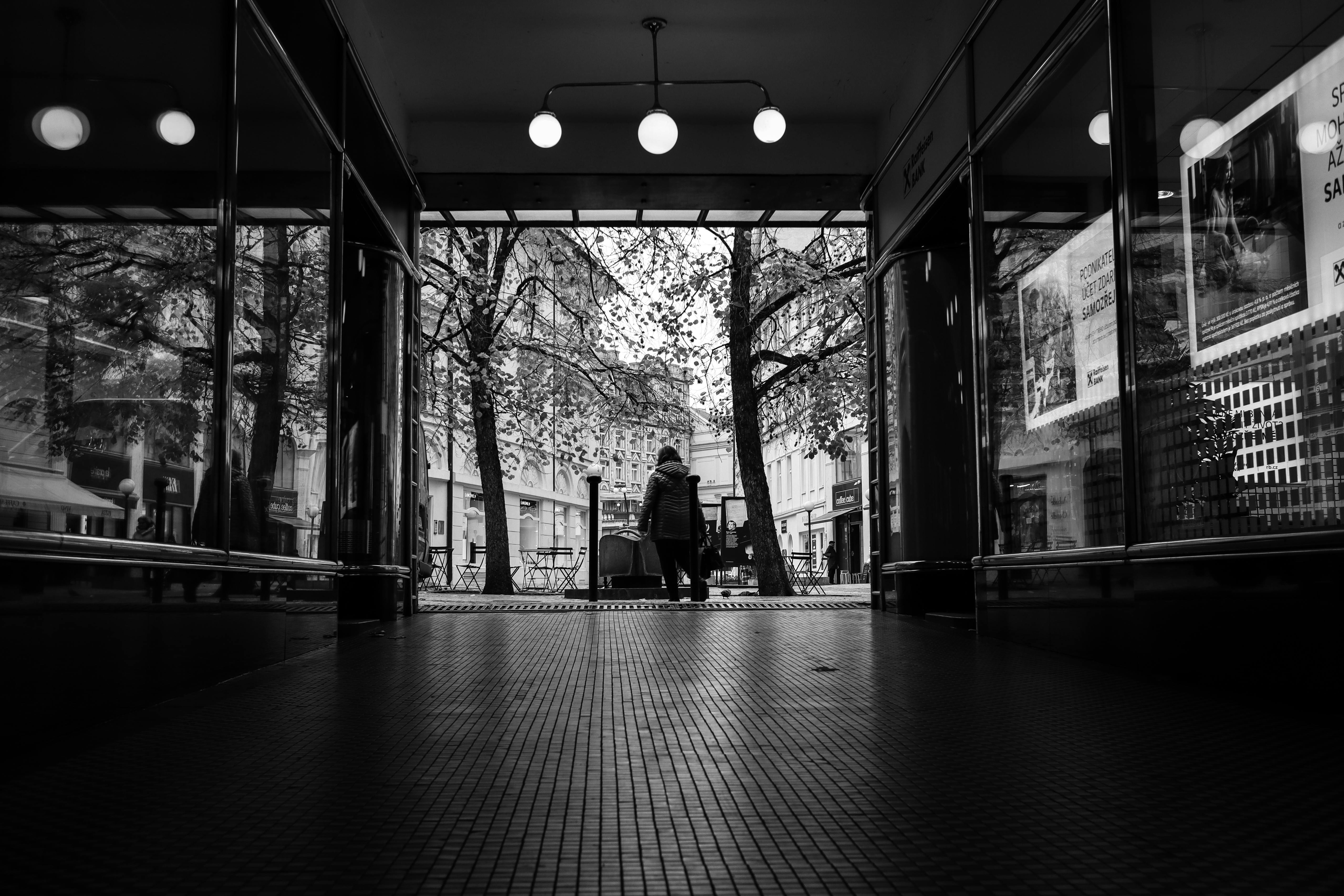 Modern Reflections on Pearl Harbor’s Legacy