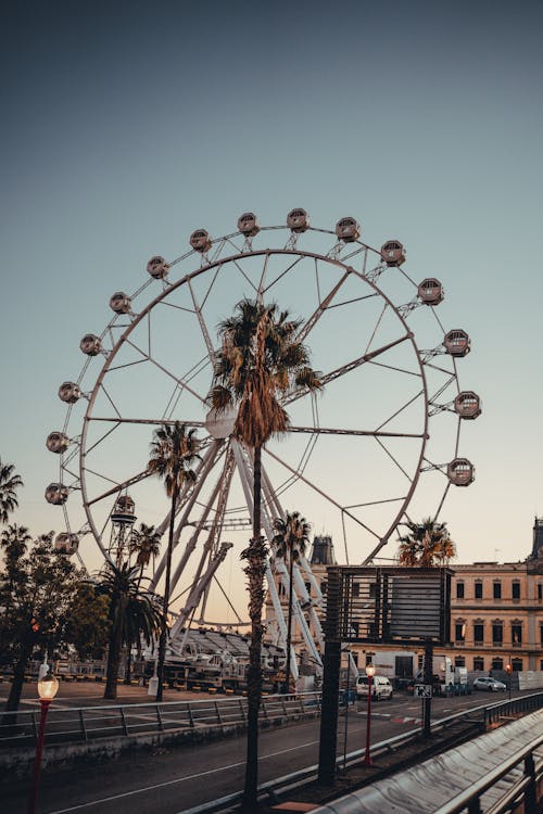 Ferris Wheel Beside Palm Trees