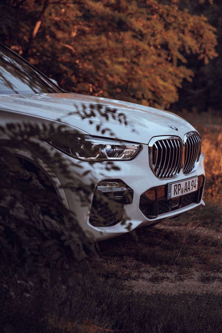 Front Grill Of A BMW Car