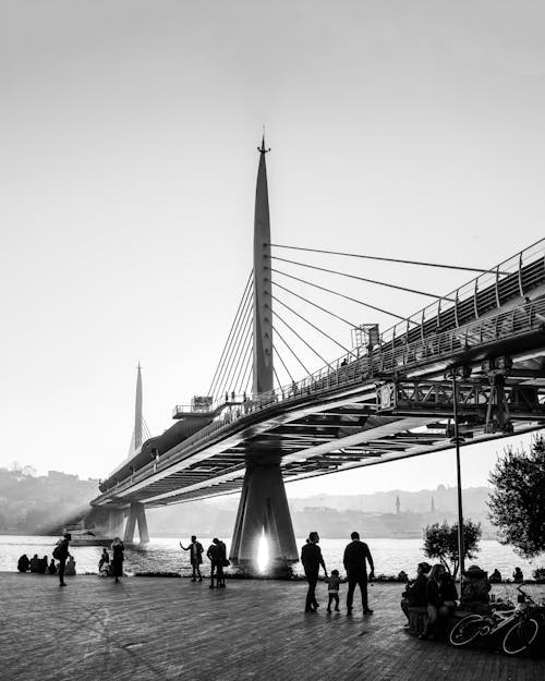Free Grayscale Photo of Golden Horn Metro Bridge in Istanbul Stock Photo