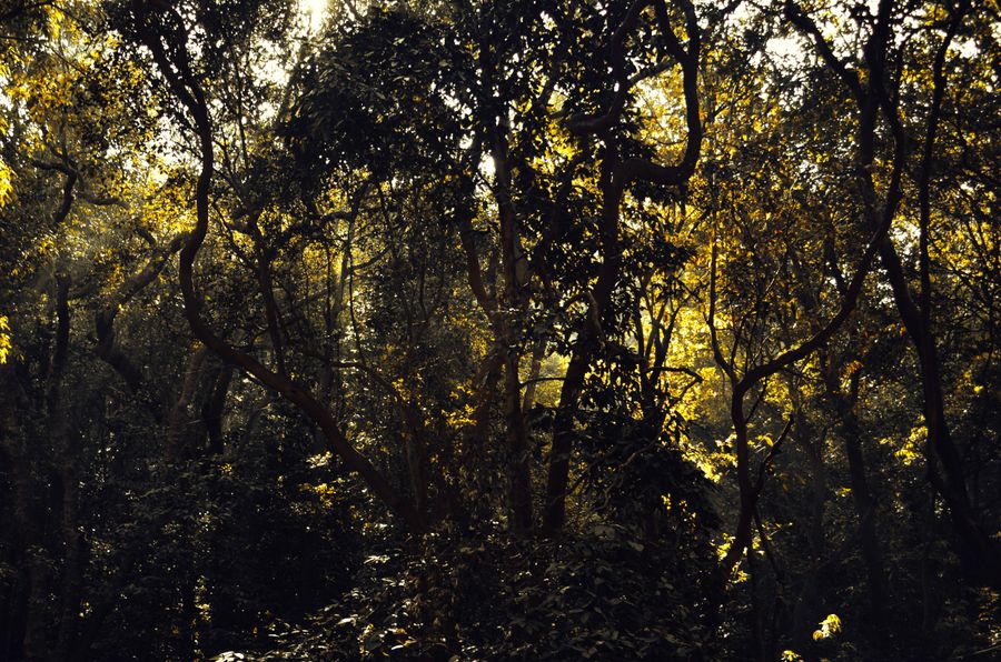 Matheran photo 7