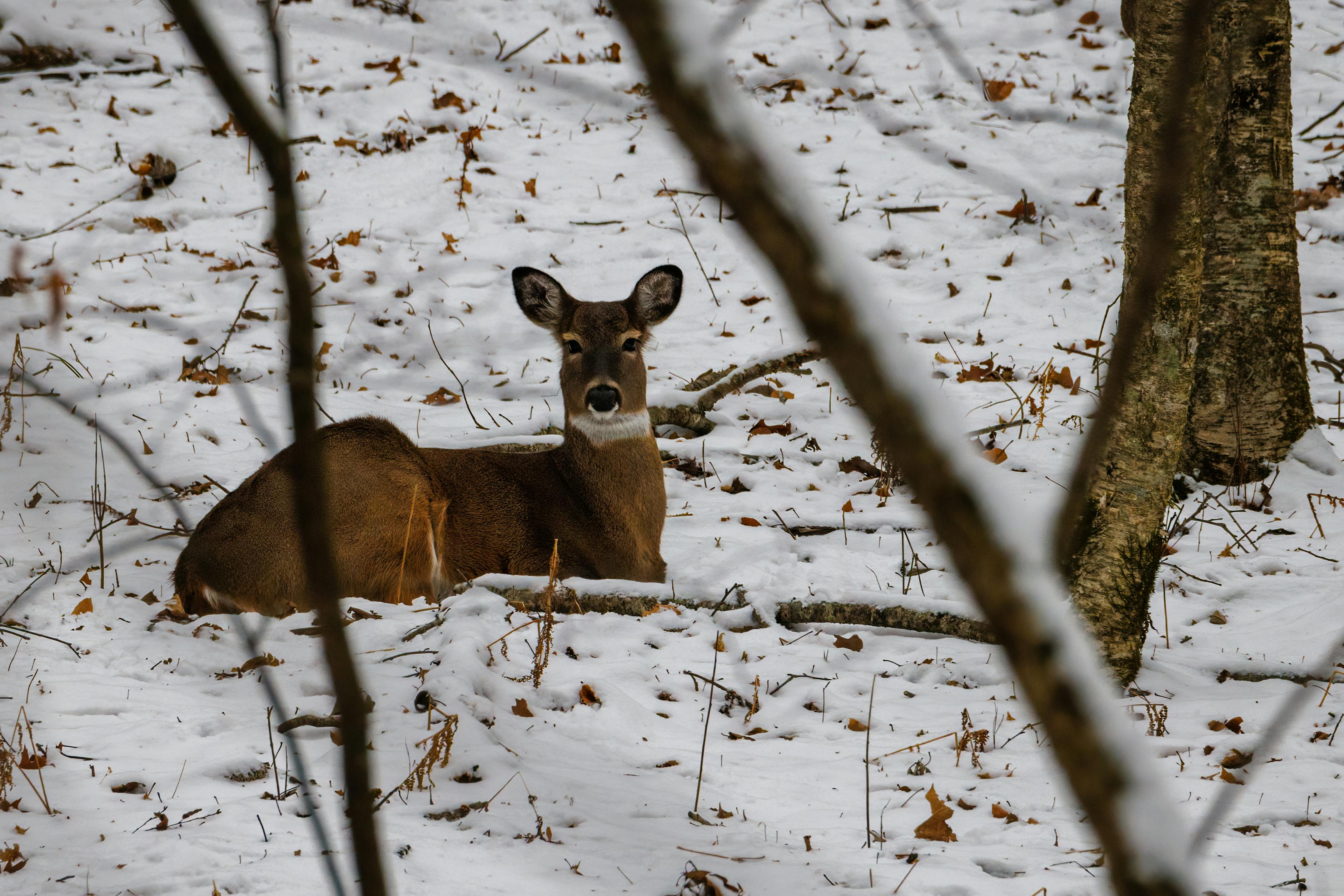 Photo by Aaron J Hill