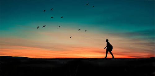 Free Silhouette of Person Walking Stock Photo