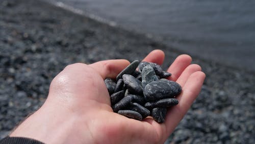 Безкоштовне стокове фото на тему «морські камені»