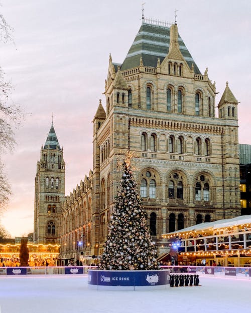 The National History Museum Ice Rink in London