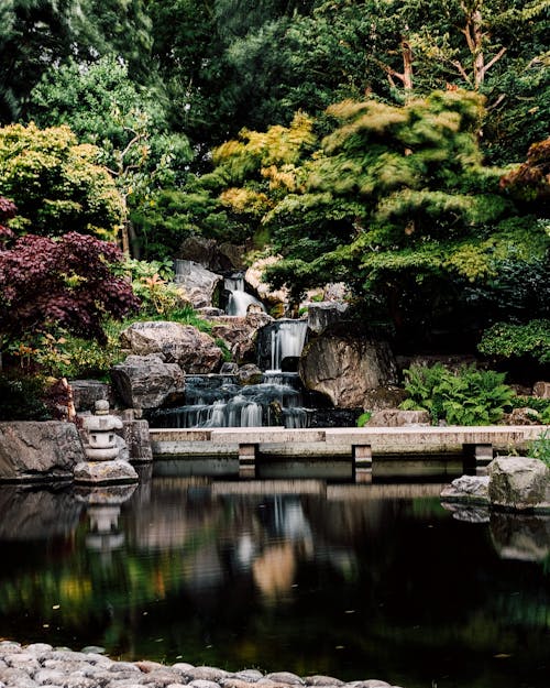 Waterfall in Japan Garden