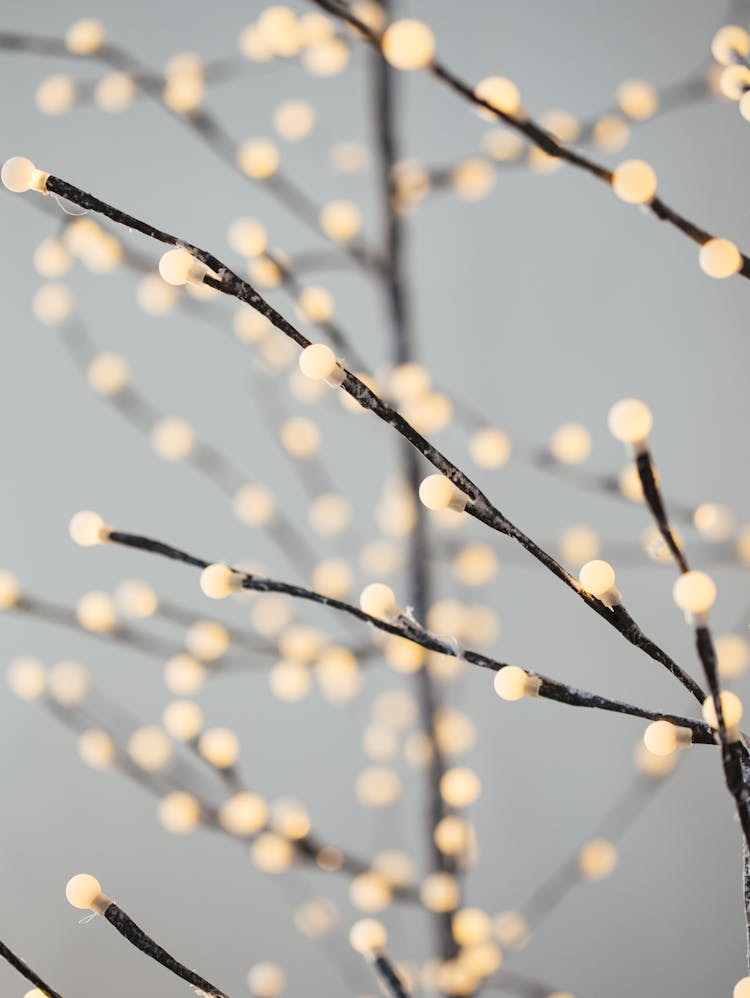 Tiny Light Bulbs Pretending Pussy Willow Buds