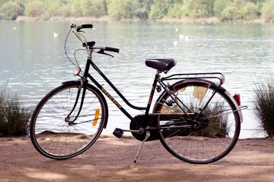 Tropicana 25 mm Dekoratif Bahçe / Peyzaj Çimi