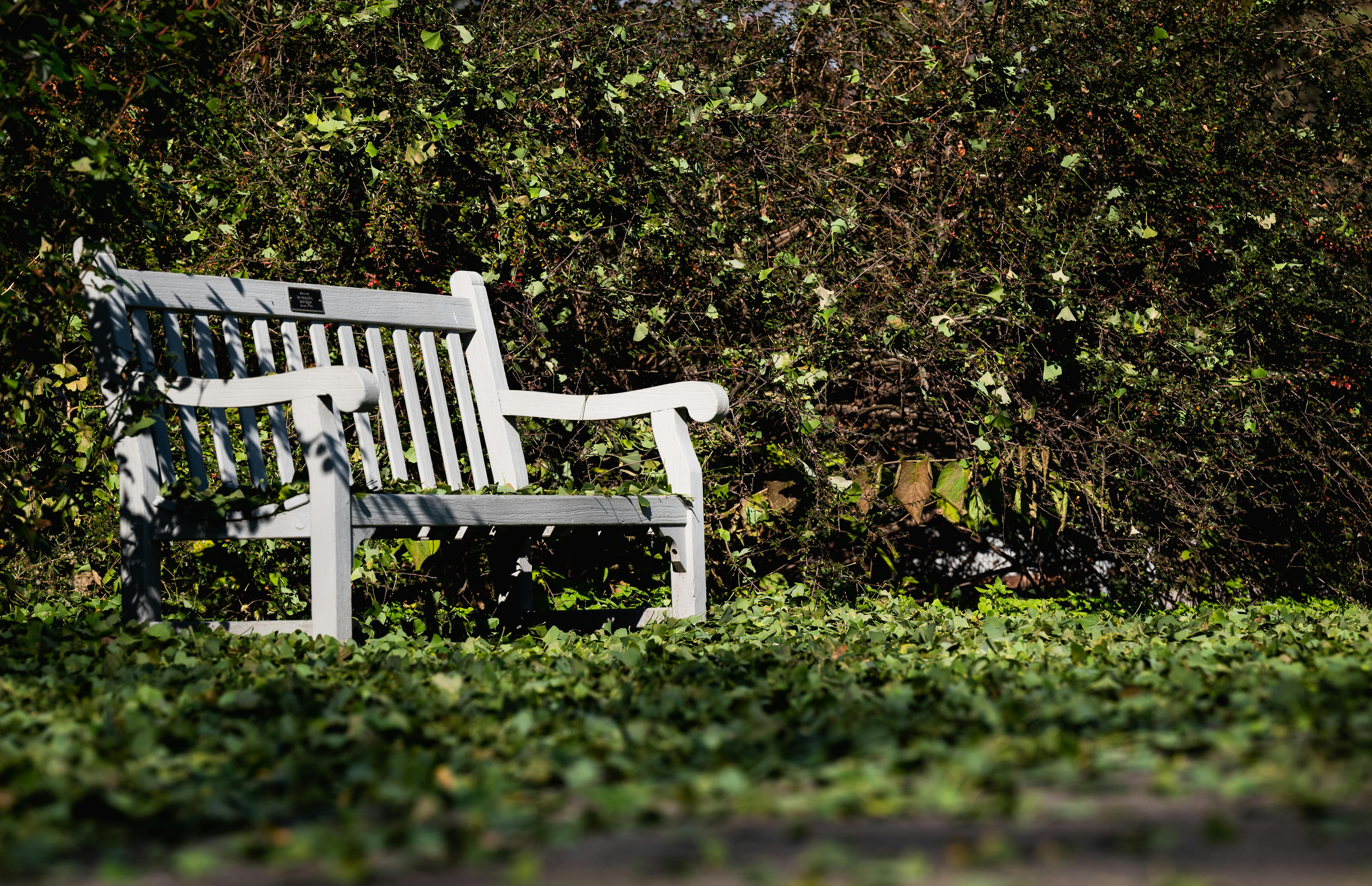 USC names McCausland Chair in Civic Engagement to direct civic leadership center — Photo by Chris F on Pexels