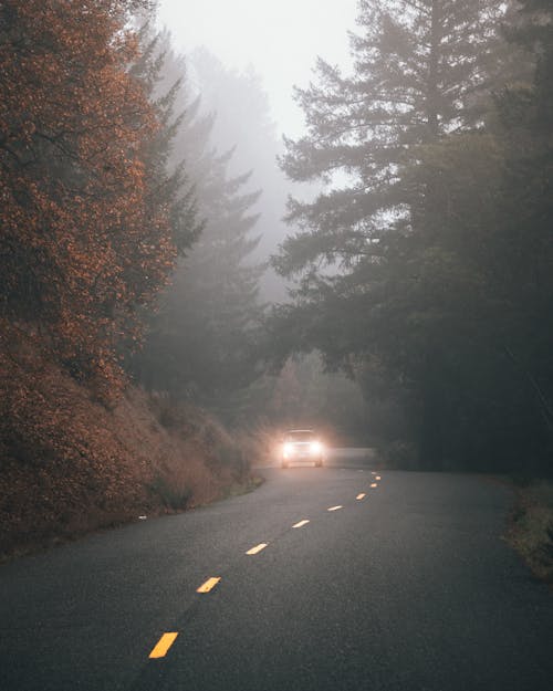 Fotobanka s bezplatnými fotkami na tému cesta, exteriéry, pohybujúce sa auto