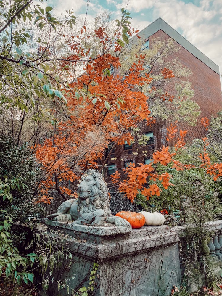 A Lion Sculpture Near Tree Leaves