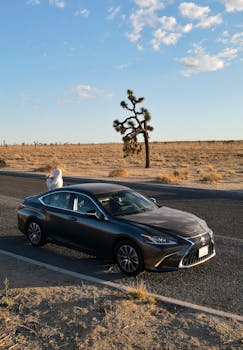 A modern sedan parked by a desert road with a scenic Joshua tree backdrop.