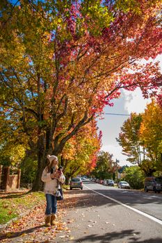 Woman walking dog on tree-lined street during vibrant autumn day.