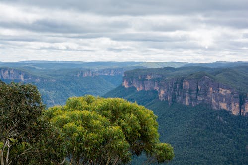 Green Trees on Mountain Under Cloudy Sky