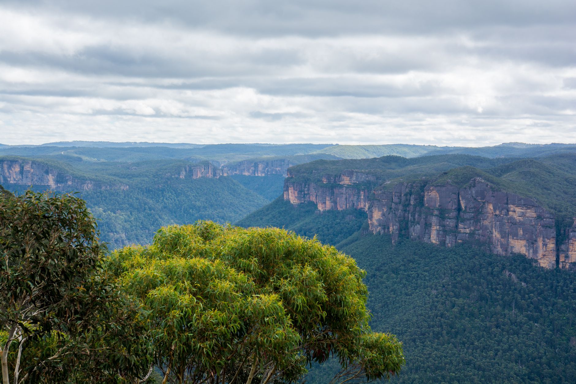 Blue Mountains