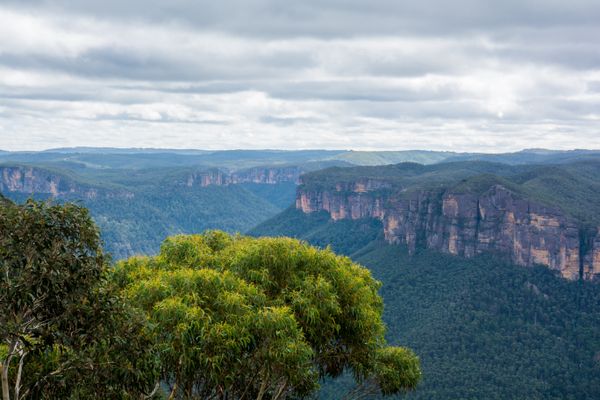Kangaroo Valley