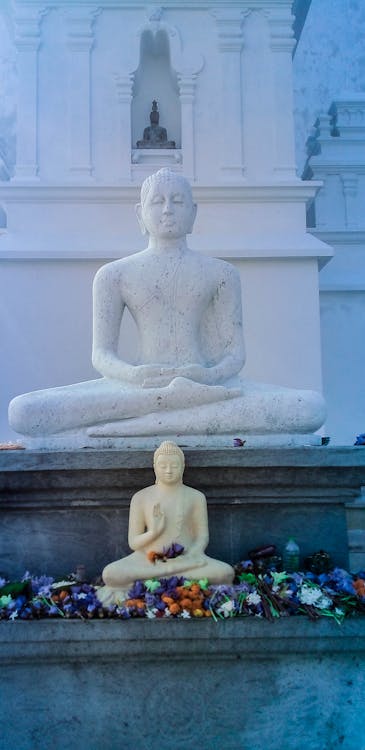 佛, 佛寺, 佛教 的 免费素材图片