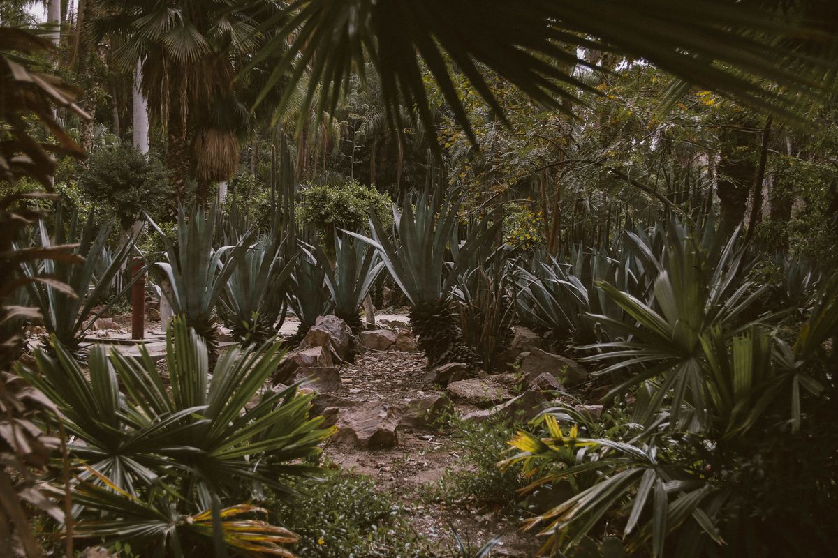 Thick tropical-style borders filling the finished family plot