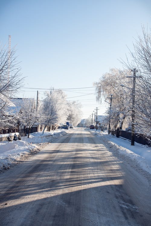 Foto profissional grátis de árvores, bairro, casas