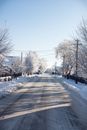 Road between Snow Covered Leafless Trees