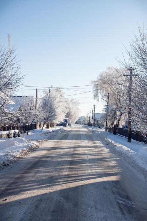 Free A serene winter scene of a snow-covered road lined with leafless trees and houses under a clear blue sky. Stock Photo