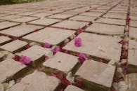 户外石路上散落的九重葛花瓣特写