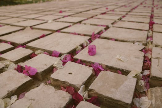 户外石路上散落的九重葛花瓣特写