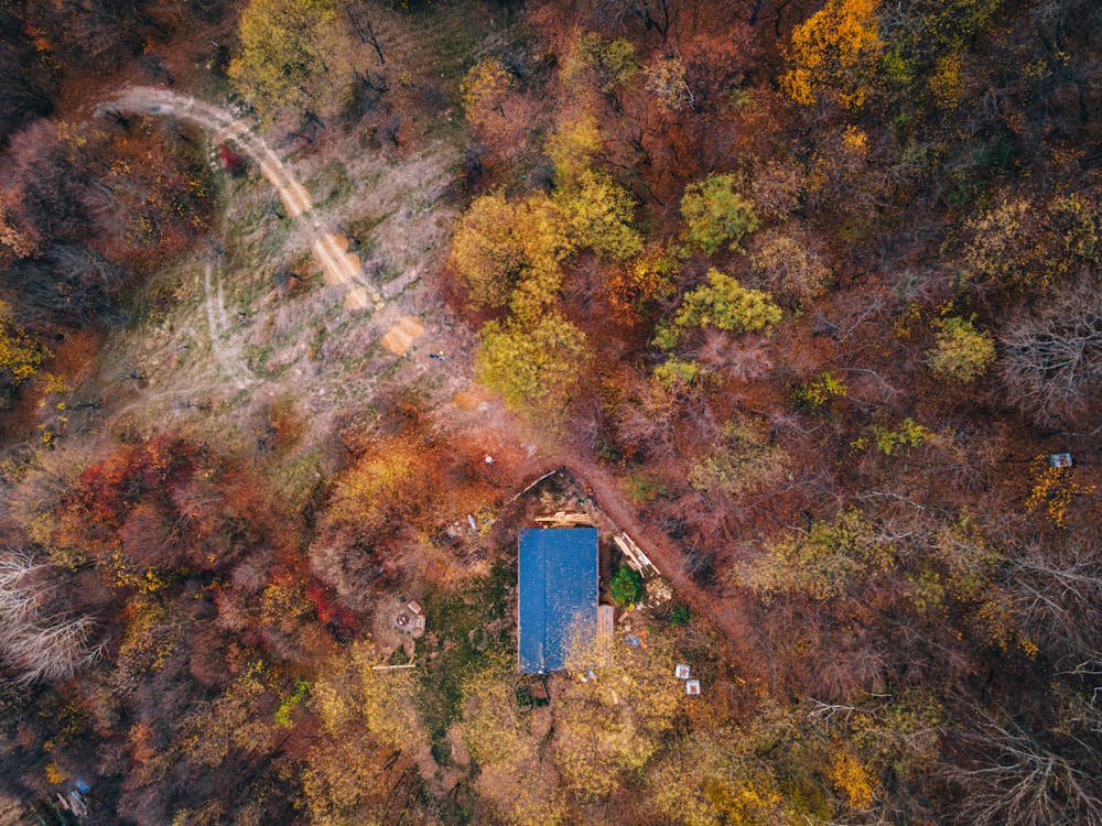 ağaçlar, arazi, drone çekimi içeren Ücretsiz stok fotoğraf