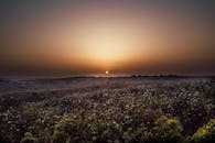 郁郁葱葱的田野上，野花与广阔的天空之间，那令人惊叹的日落，唤起一种宁静而自然的美丽