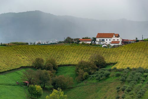 Gratis stockfoto met akkerland, berg, boerderij