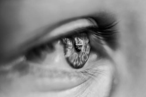 Grayscale Macro Photography of Person's Eye