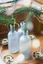 Green Plant in Clear Glass Bottle