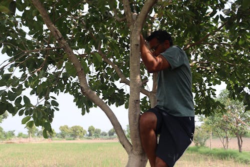 Základová fotografie zdarma na téma 21 století opice na stromě