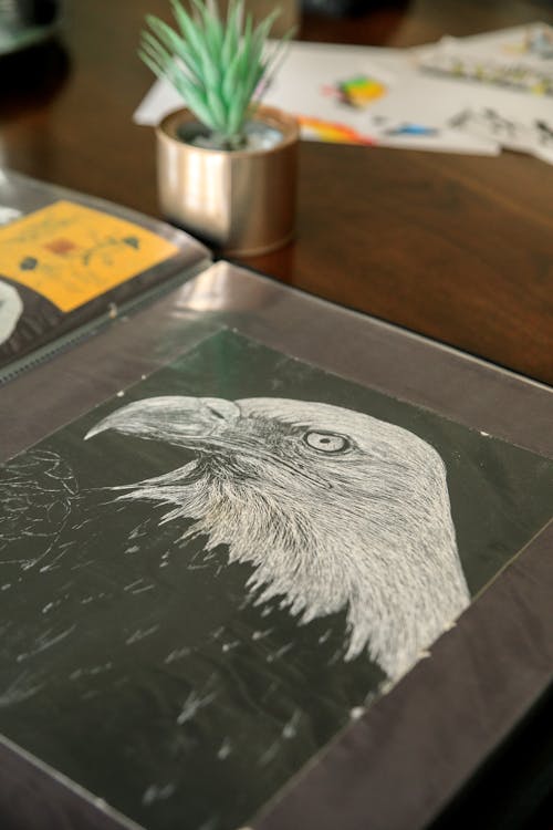 Drawing of Bald Eagle in Art Portfolio